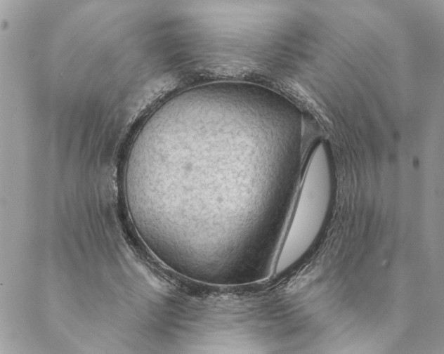 X0000088900634200706291505