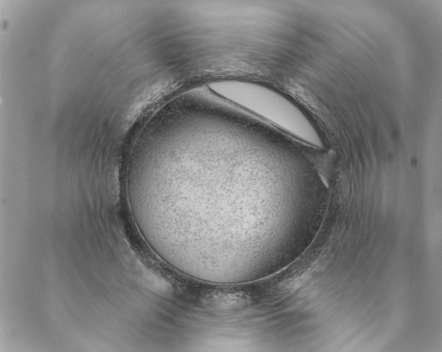 X0000088900638200706291505