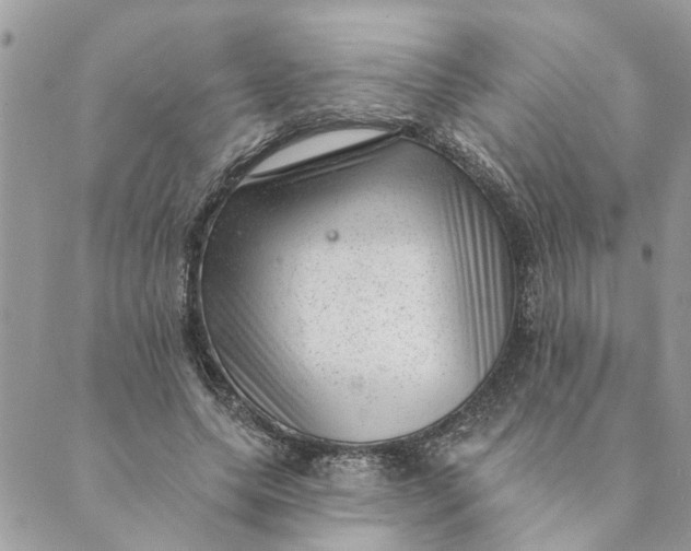 X0000088900639200706291505