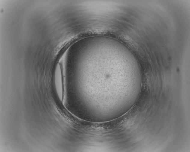 X0000088900640200706291505