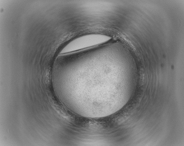 X0000088900641200706291505