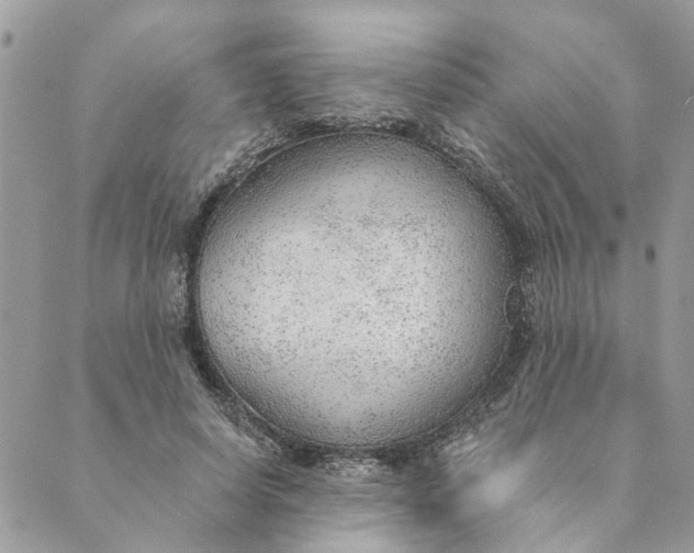 X0000088900642200706291505