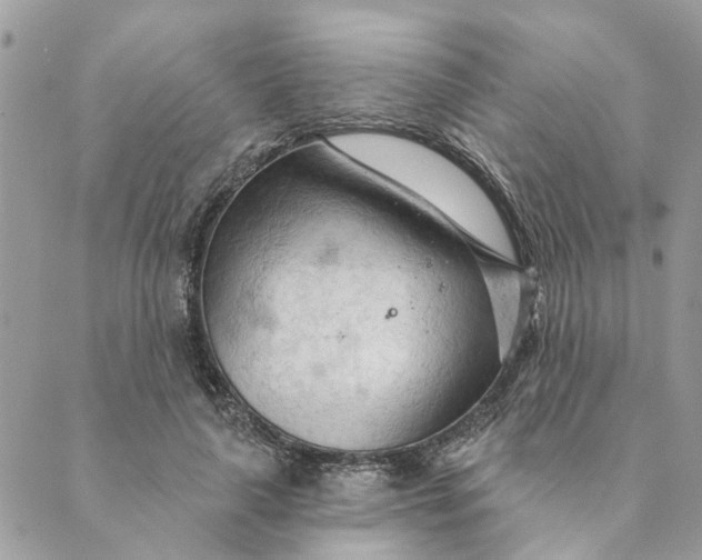 X0000088900643200706291505