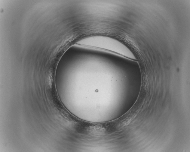 X0000088900644200706291505