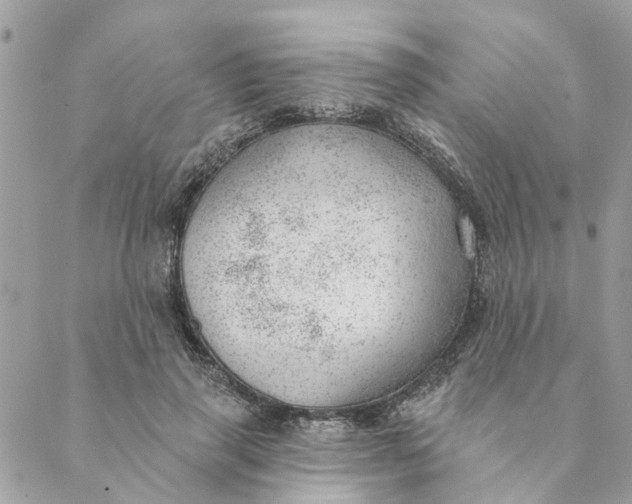 X0000088900645200706291505