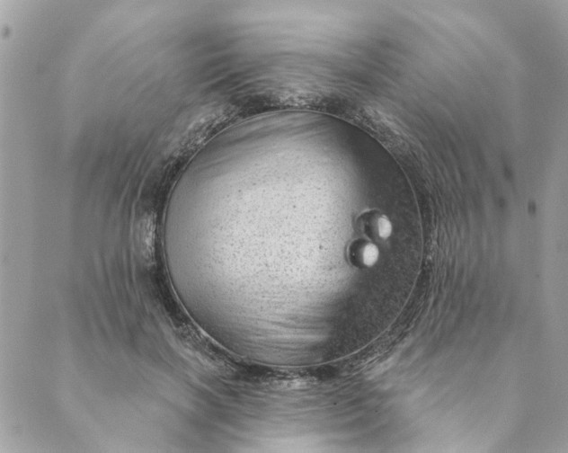 X0000088900646200706291505