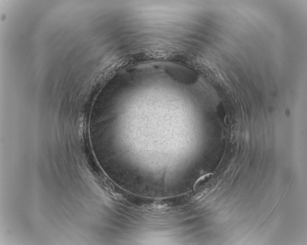 X0000088900647200706291505