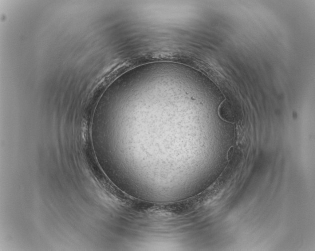 X0000088900648200706291506