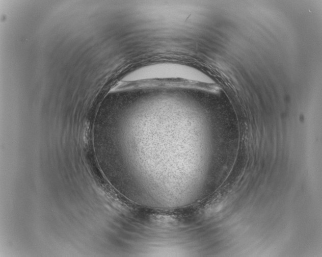 X0000088900649200706291506