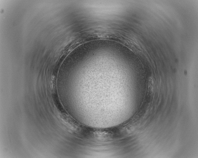 X0000088900650200706291506