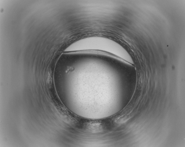 X0000088900651200706291506