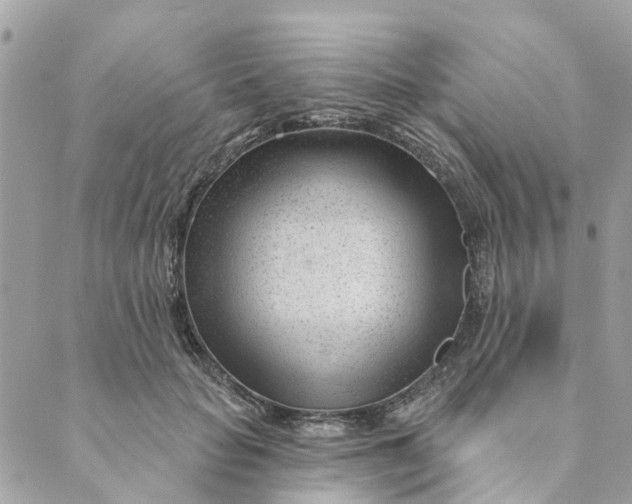 X0000088900653200706291506