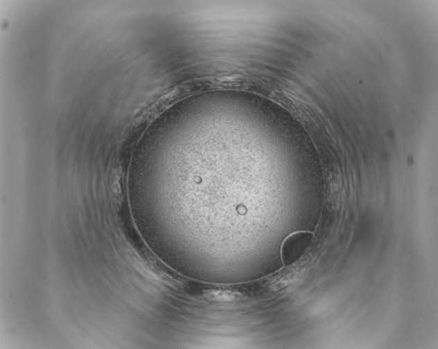 X0000088900654200706291506