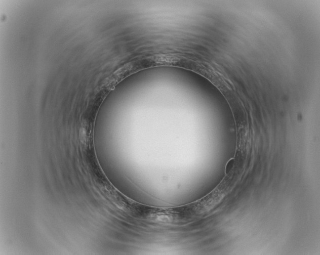 X0000088900655200706291506