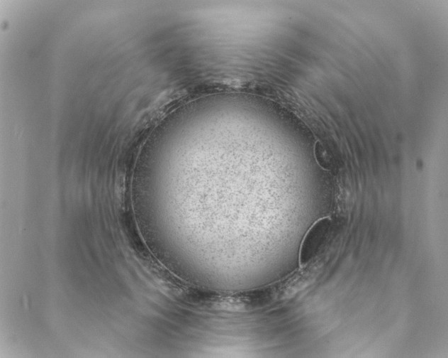 X0000088900656200706291506