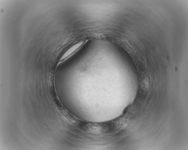 X0000088900658200706291506