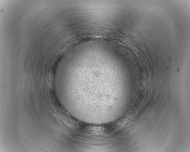 X0000088900659200706291506