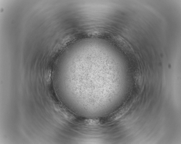 X0000088900660200706291506