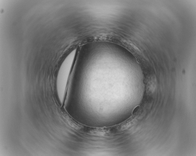 X0000088900661200706291506