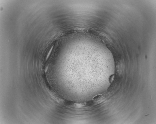 X0000088900662200706291506