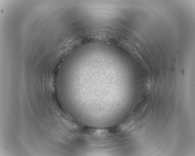 X0000088900663200706291506