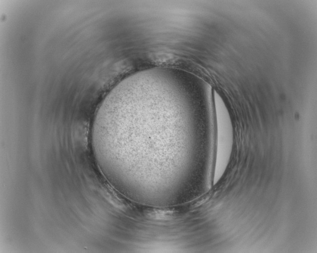 X0000088900664200706291506