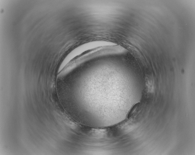 X0000088900665200706291506