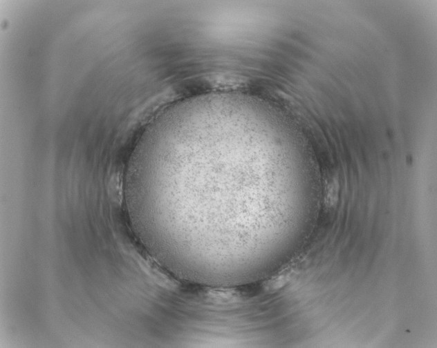 X0000088900666200706291506