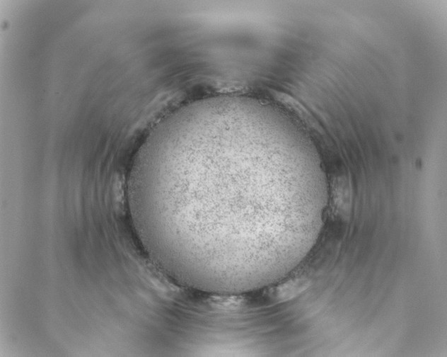 X0000088900667200706291506