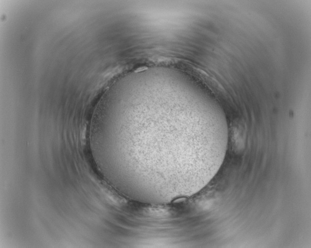 X0000088900668200706291506