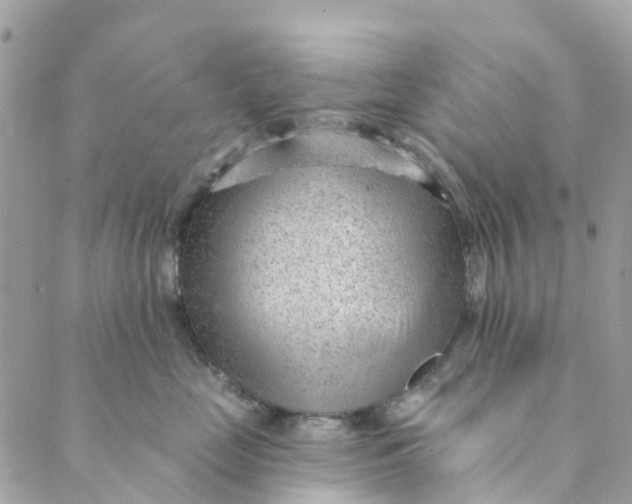 X0000088900669200706291506