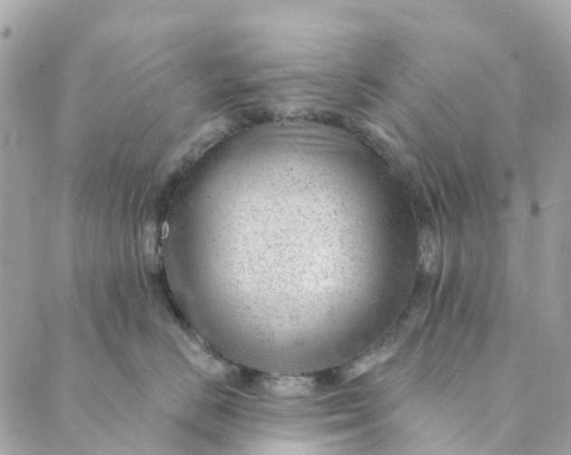 X0000088900670200706291506