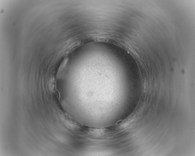 X0000088900671200706291506