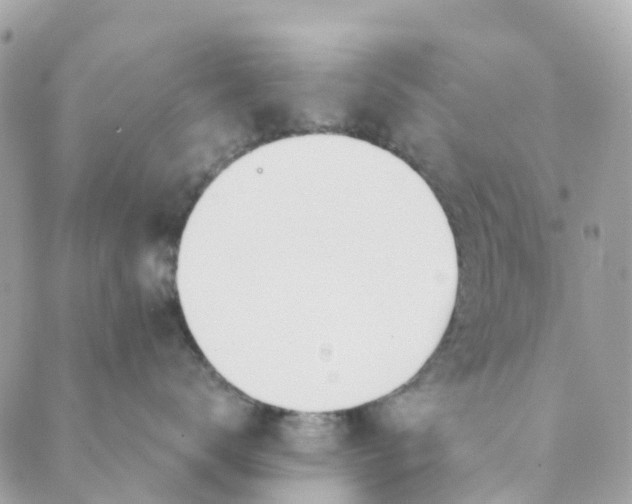 X0000088900672200706291506