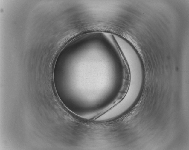 X0000088900673200706291505