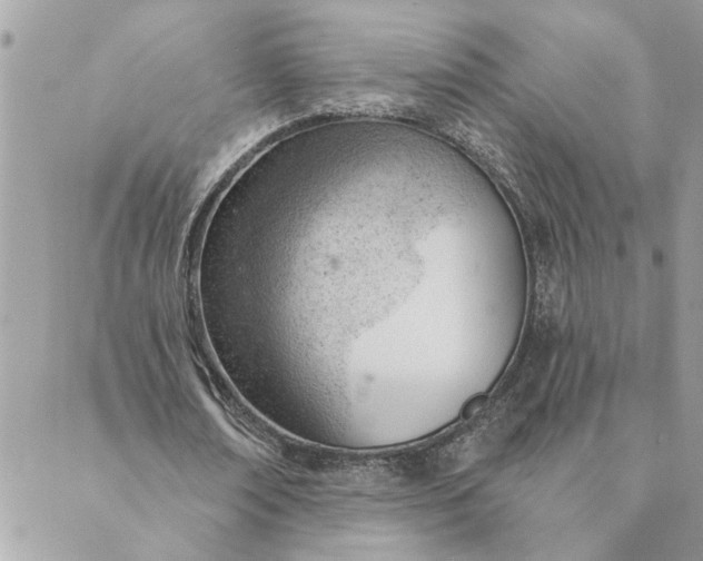 X0000088900674200706291505