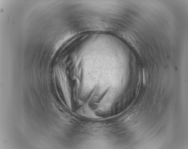 X0000088900675200706291505