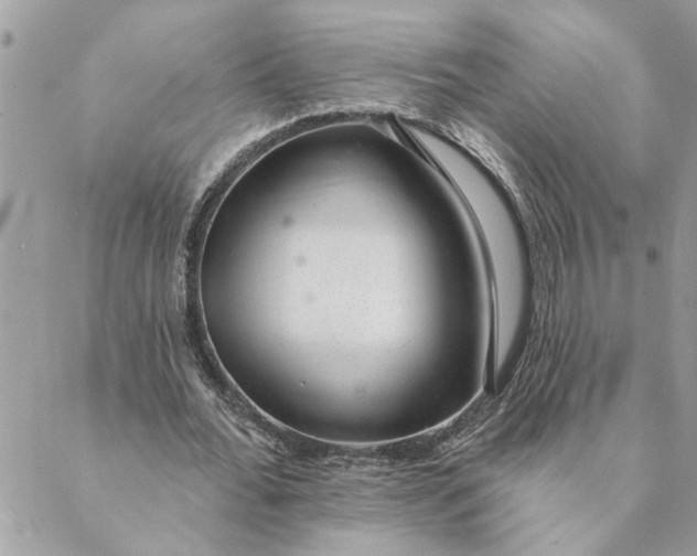 X0000088900676200706291505