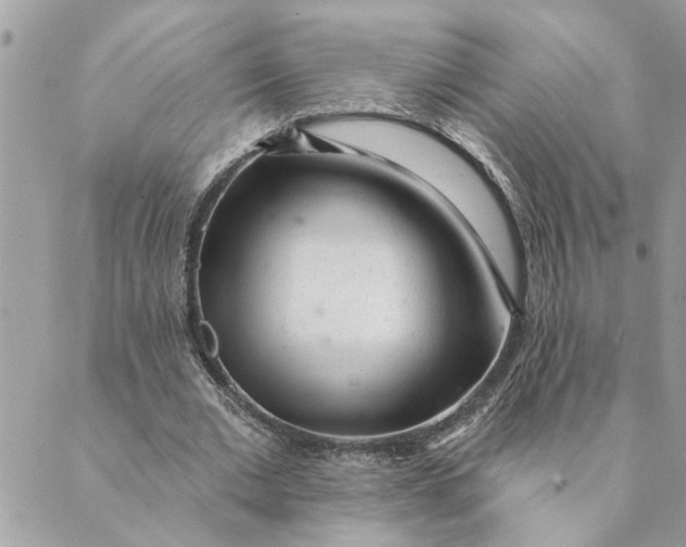 X0000088900677200706291505