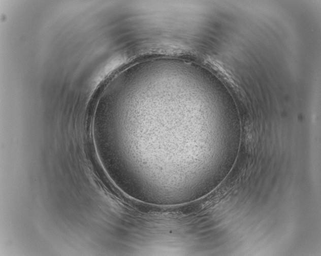 X0000088900679200706291505