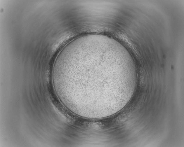 X0000088900683200706291505