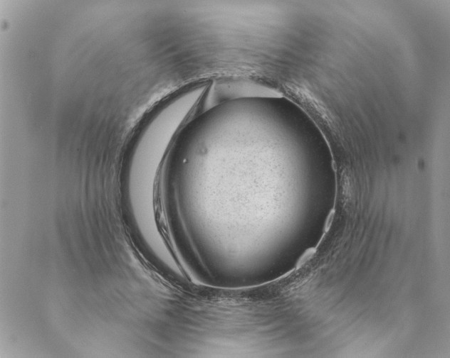 X0000088900684200706291505