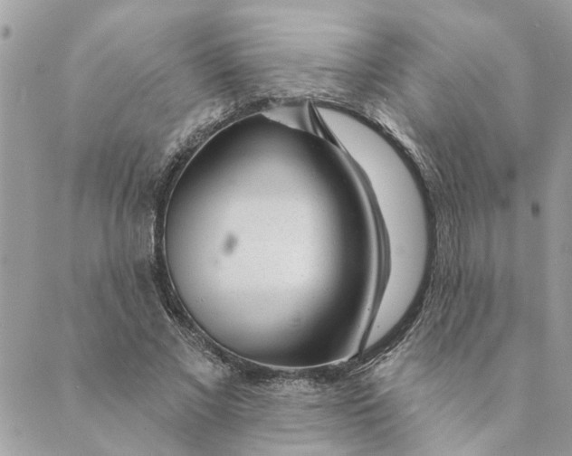 X0000088900685200706291505