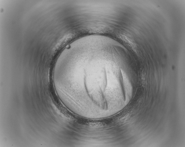 X0000088900686200706291505