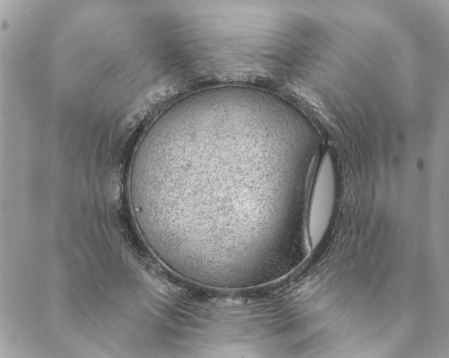 X0000088900687200706291505