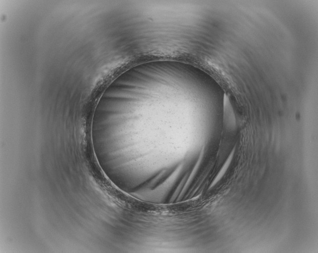 X0000088900688200706291505