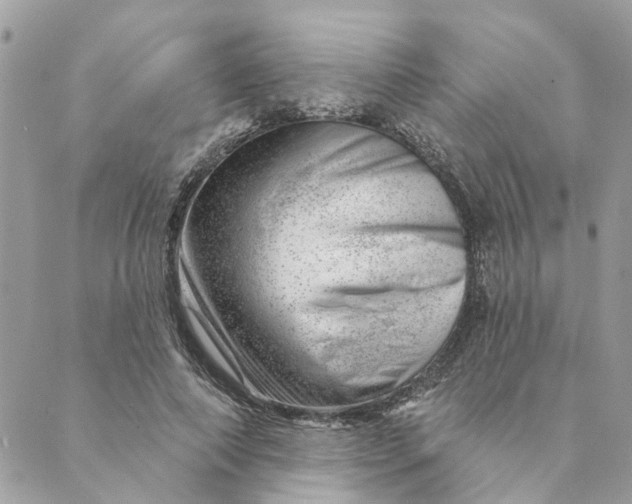 X0000088900690200706291505