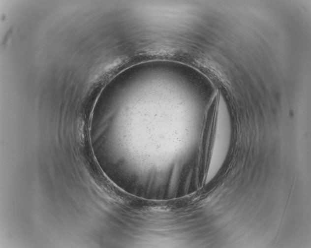 X0000088900692200706291505