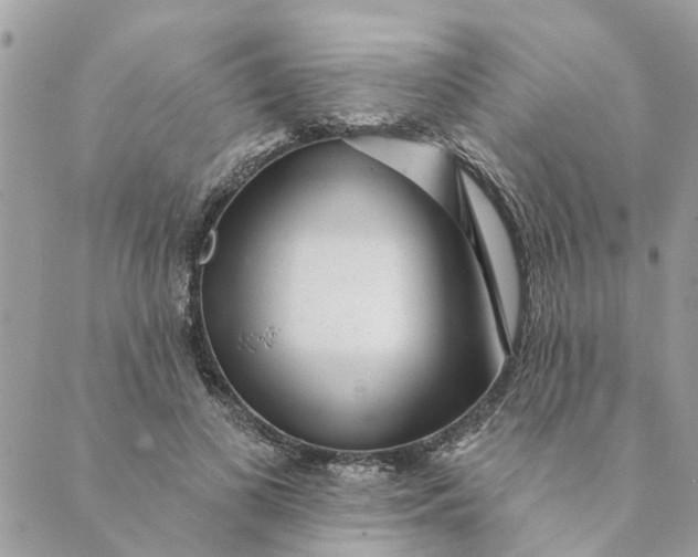 X0000088900693200706291505