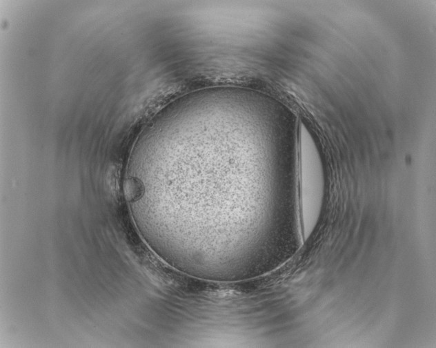 X0000088900695200706291505